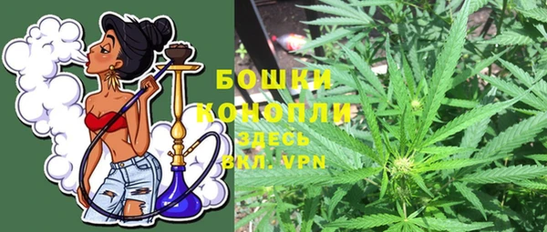 сатива Абдулино