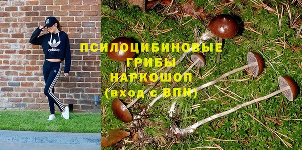 сатива Медногорск