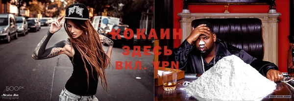 сатива Абдулино