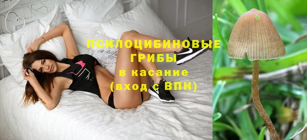 спайс Абинск