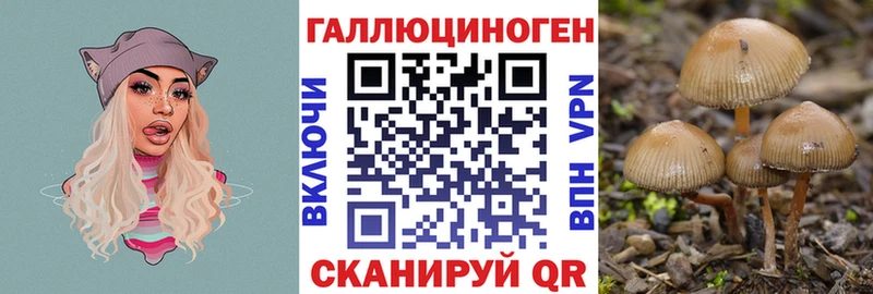 mega как войти Кисловодск Псилоцибиновые грибы MAGIC MUSHROOMS